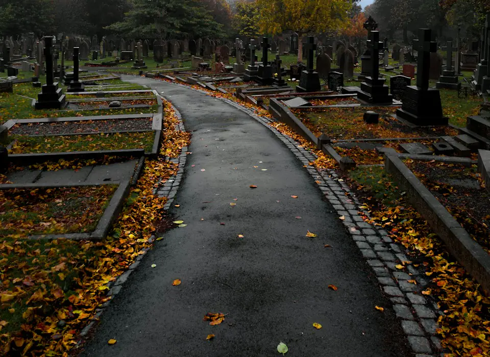 Allée d'un cimetière arboré