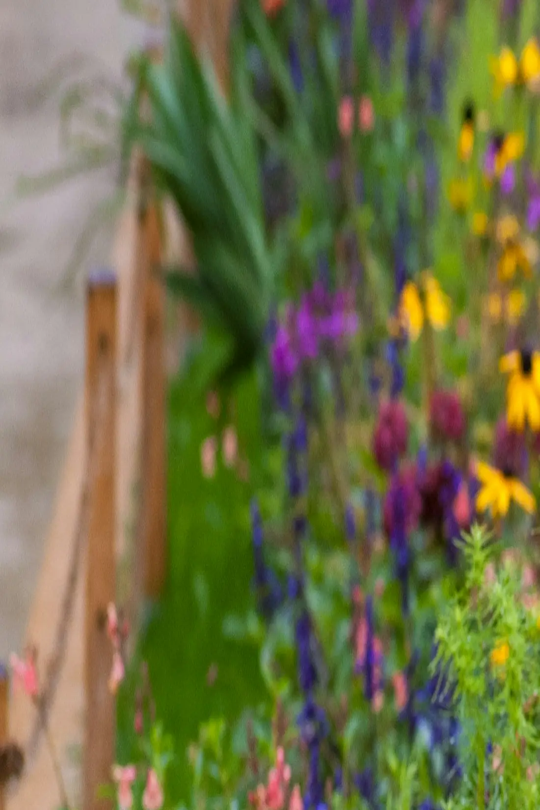 Massif fleuri aux abords d'une allée